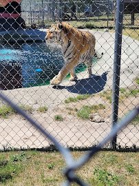 Aloha Safari Park photo 3
