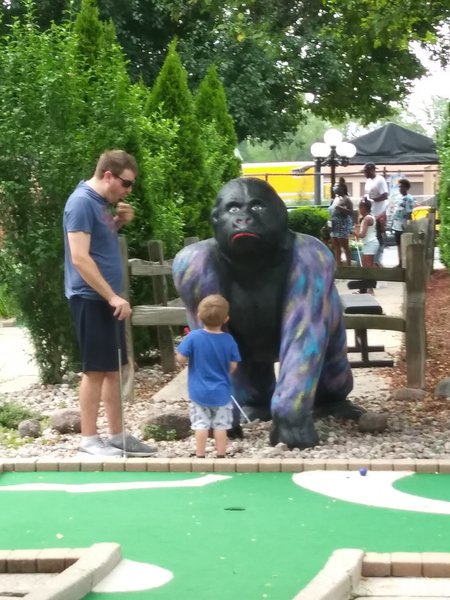 Zig-E's Funland photo 6