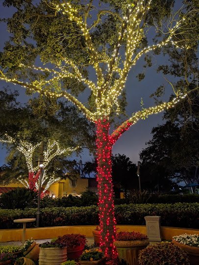Christmas Celebration at SeaWorld Orlando photo 2