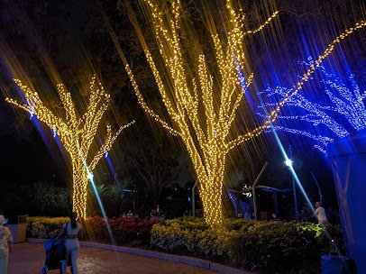 Christmas Celebration at SeaWorld Orlando photo 5