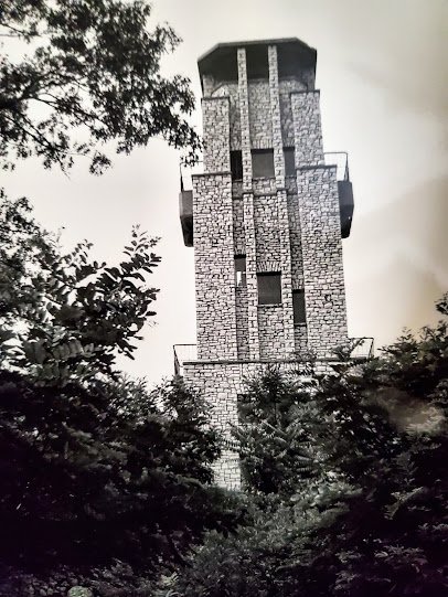 Washington Park Zoo Observation Tower photo 4