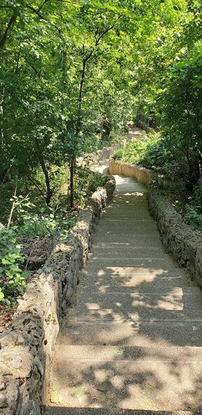 Washington Park Zoo Observation Tower photo 6