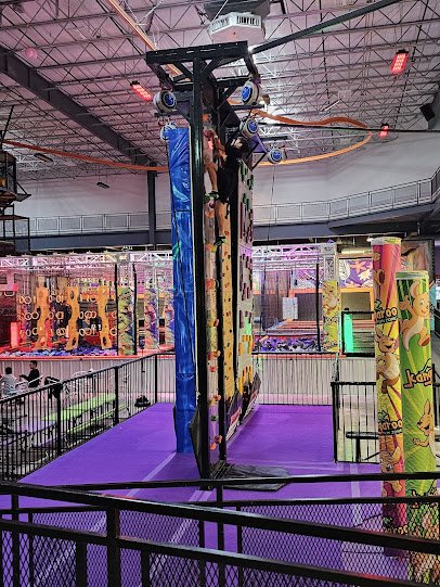 Urban Air Trampoline and Adventure Park photo 3