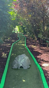Hawk's Nest Mini Golf photo 2