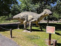 Ogden's George S. Eccles Dinosaur Park photo 5
