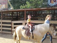 River Street Ranch photo 3