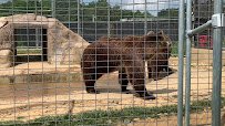 Plumpton Park Zoo photo 2