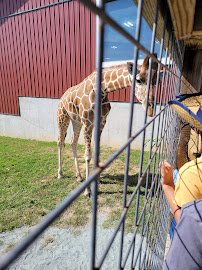 Plumpton Park Zoo photo 4
