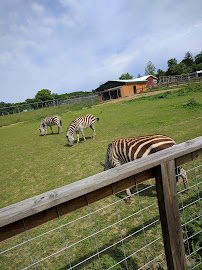 Plumpton Park Zoo photo 6