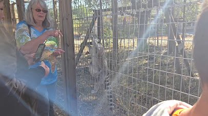 Texas Wildlife Park and Education Center photo 2