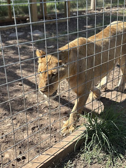Texas Wildlife Park and Education Center photo 4