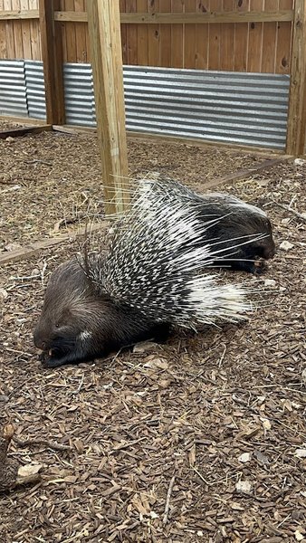 Texas Wildlife Park and Education Center photo 5