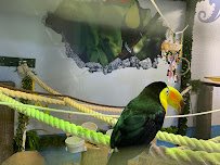 One World Interactive Aquarium photo 4