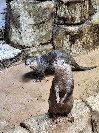 One World Interactive Aquarium photo 5