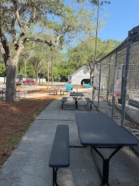 Grand Slam Batting Cage & Miniature Golf, Inc. photo 3