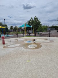 Pavo Real Splash Park/Dog Water Park photo 3