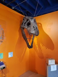 Alaska Museum of Science and Nature photo 3