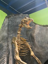 Alaska Museum of Science and Nature photo 4