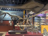 Alaska Museum of Science and Nature photo 6