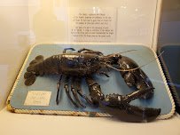 Seaside Aquarium photo 4