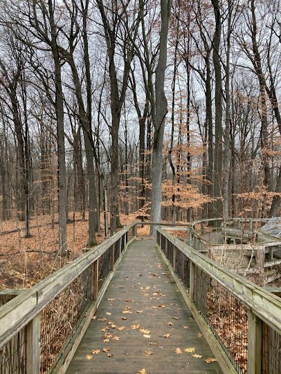 Blandford Nature Center photo 5