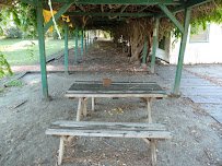 Rancho Camulos Museum photo 6