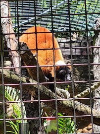 Central Florida Zoo & Botanical Gardens photo 5