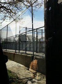 Bellmore-Merrick Roller Hockey photo 5