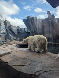 McDonnell Polar Bear Point photo 4