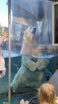 McDonnell Polar Bear Point photo 5