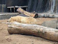McDonnell Polar Bear Point photo 6