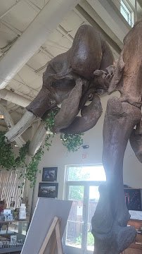 Fossil Discovery Center of Madera County photo 2