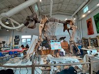 Fossil Discovery Center of Madera County photo 3