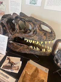 Fossil Discovery Center of Madera County photo 5