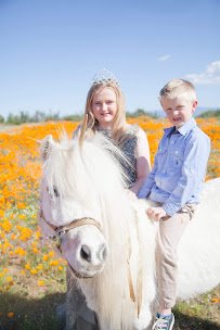 SweetWater Farms Petting Zoo and Pony Rides photo 4