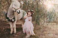 SweetWater Farms Petting Zoo and Pony Rides photo 6
