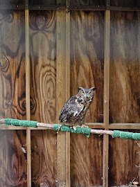 Piedmont Wildlife Center