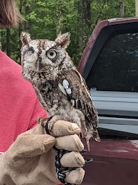 Piedmont Wildlife Center photo 2