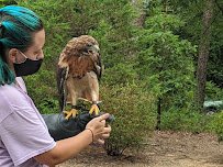 Piedmont Wildlife Center photo 3