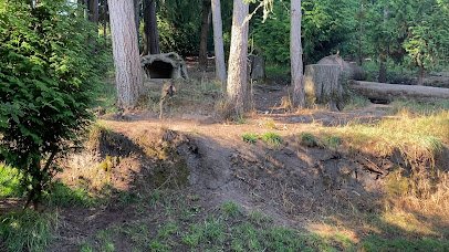 Red Wolf Woods photo 2