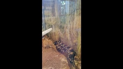 Valley Nature Center photo 2
