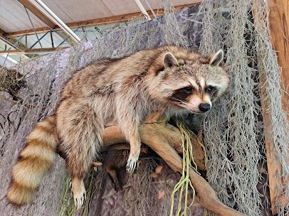 Valley Nature Center photo 6