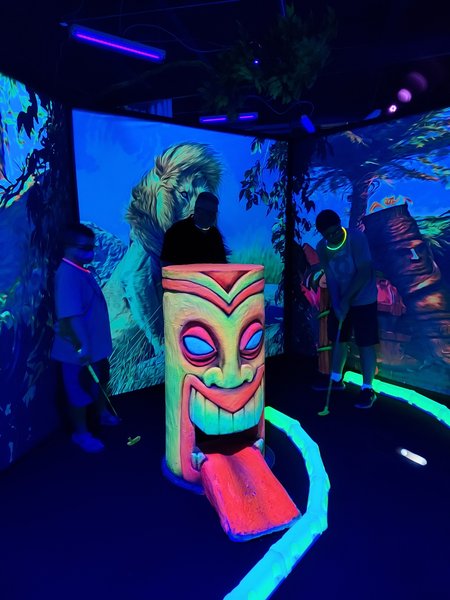 Shankz Mini Golf & Arcades photo 6