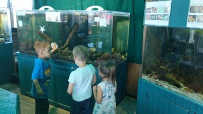 Marine Life Center photo 2