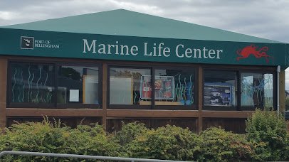 Marine Life Center photo 3