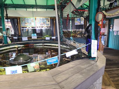 Marine Life Center photo 4