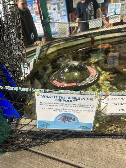 Marine Life Center photo 5