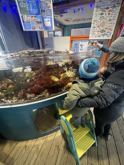 Marine Life Center photo 6