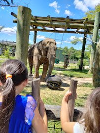 Buttonwood Park Zoo photo 4