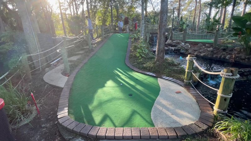 Adventure Cove Mini Golf & Arcade photo 2